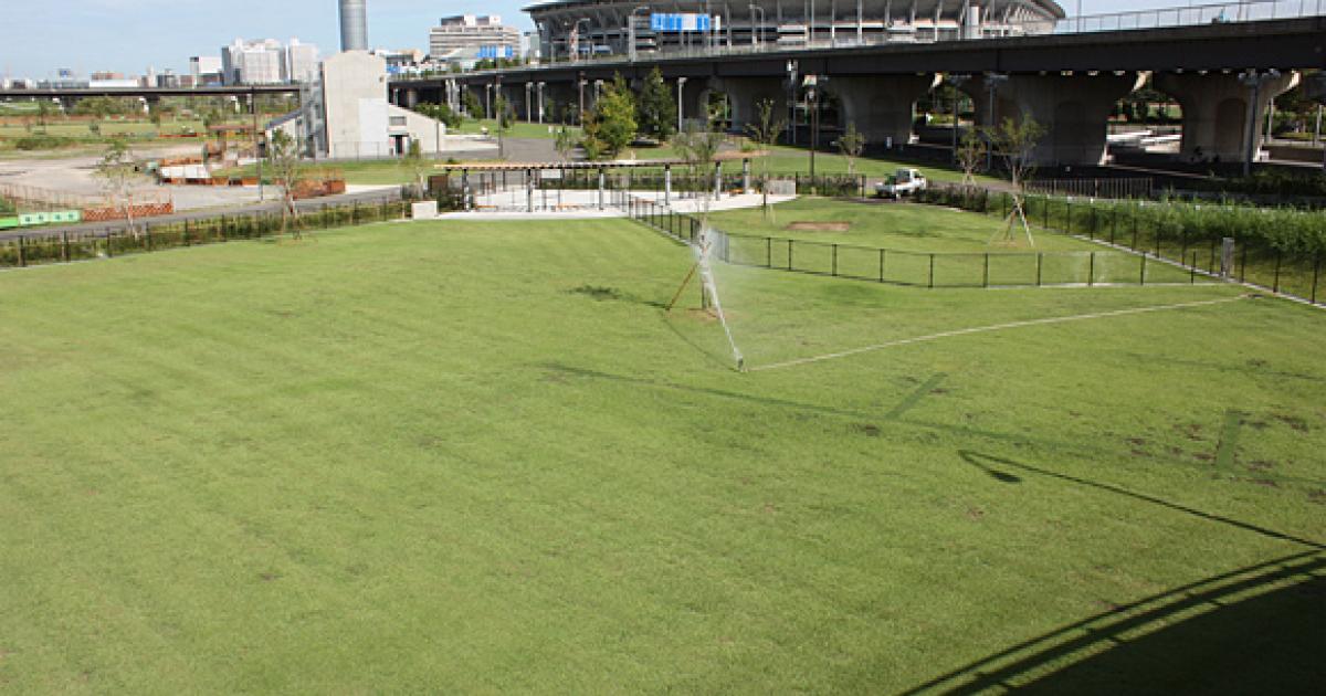 新横浜ドッグラン 野外ドッグラン 小机 横浜市港北区 横浜ペットナビ