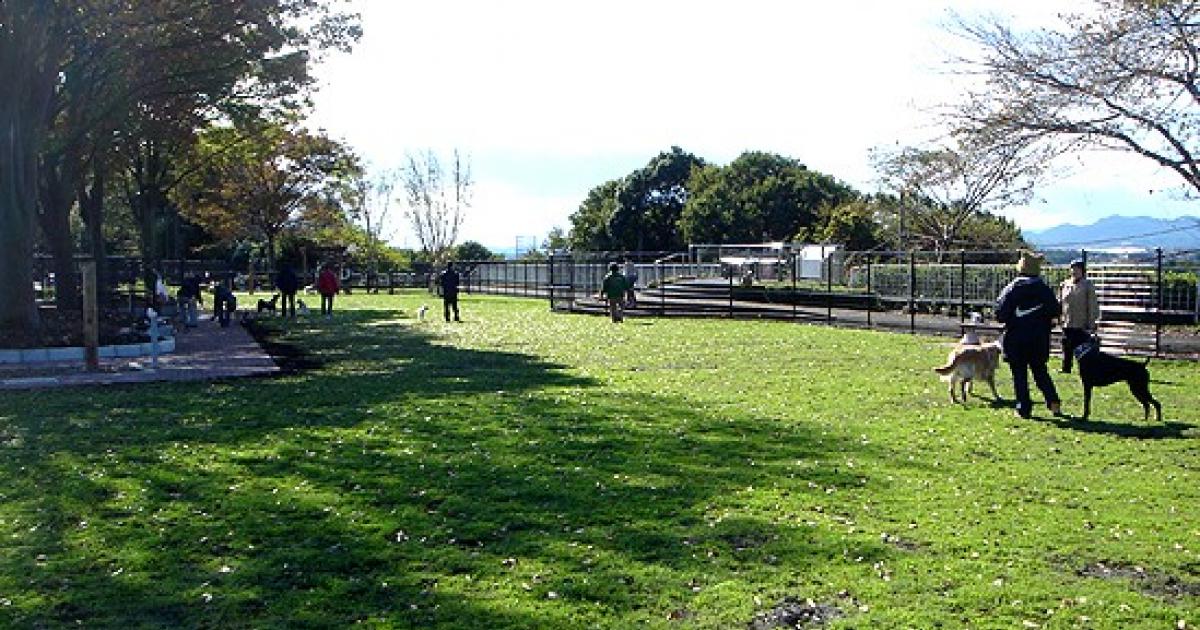 相模原公園ドッグラン 会員制 当麻 相模原市 横浜ペットナビ