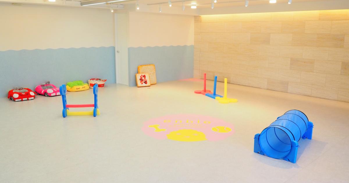 Enble Playroom 室内ドッグラン アンブルプレイルーム 横浜市中区 横浜ペットナビ